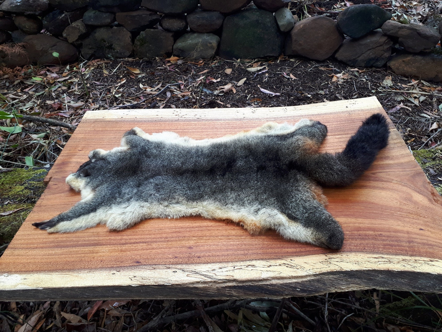 Brushtail Possum Pelt