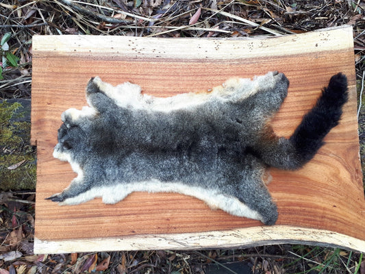 Brushtail Possum Pelt