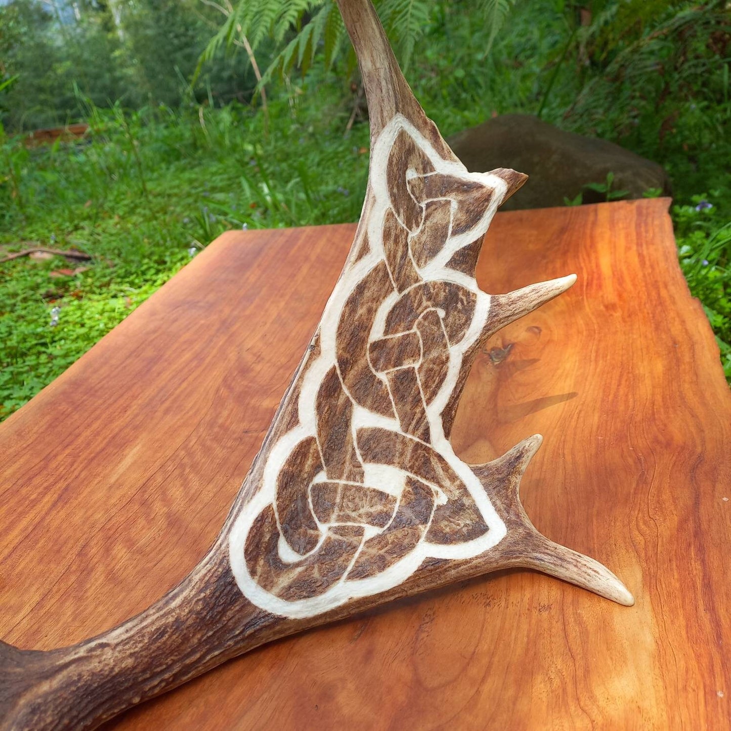 Fallow Deer Antler with Carved Celtic Knot