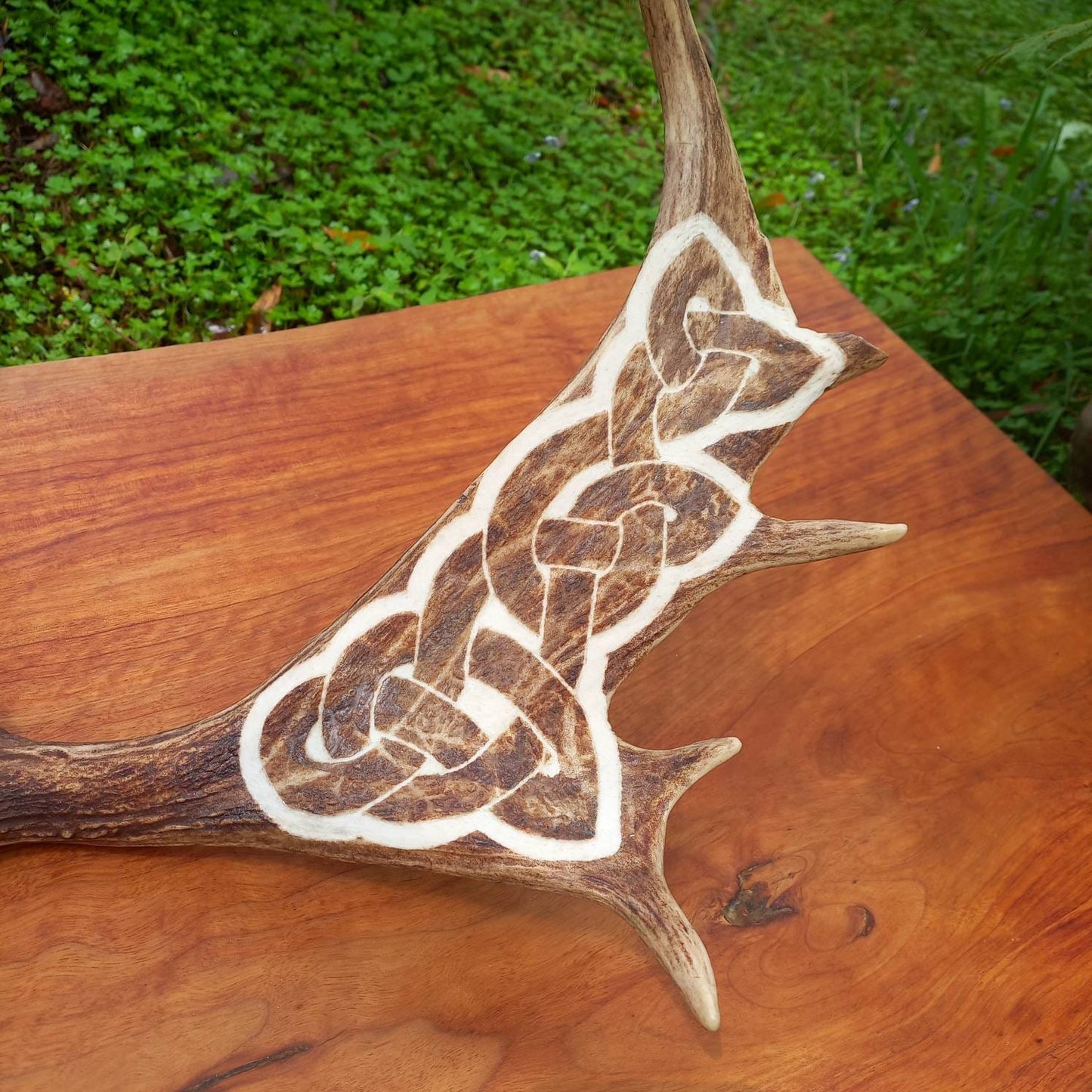 Fallow Deer Antler with Carved Celtic Knot