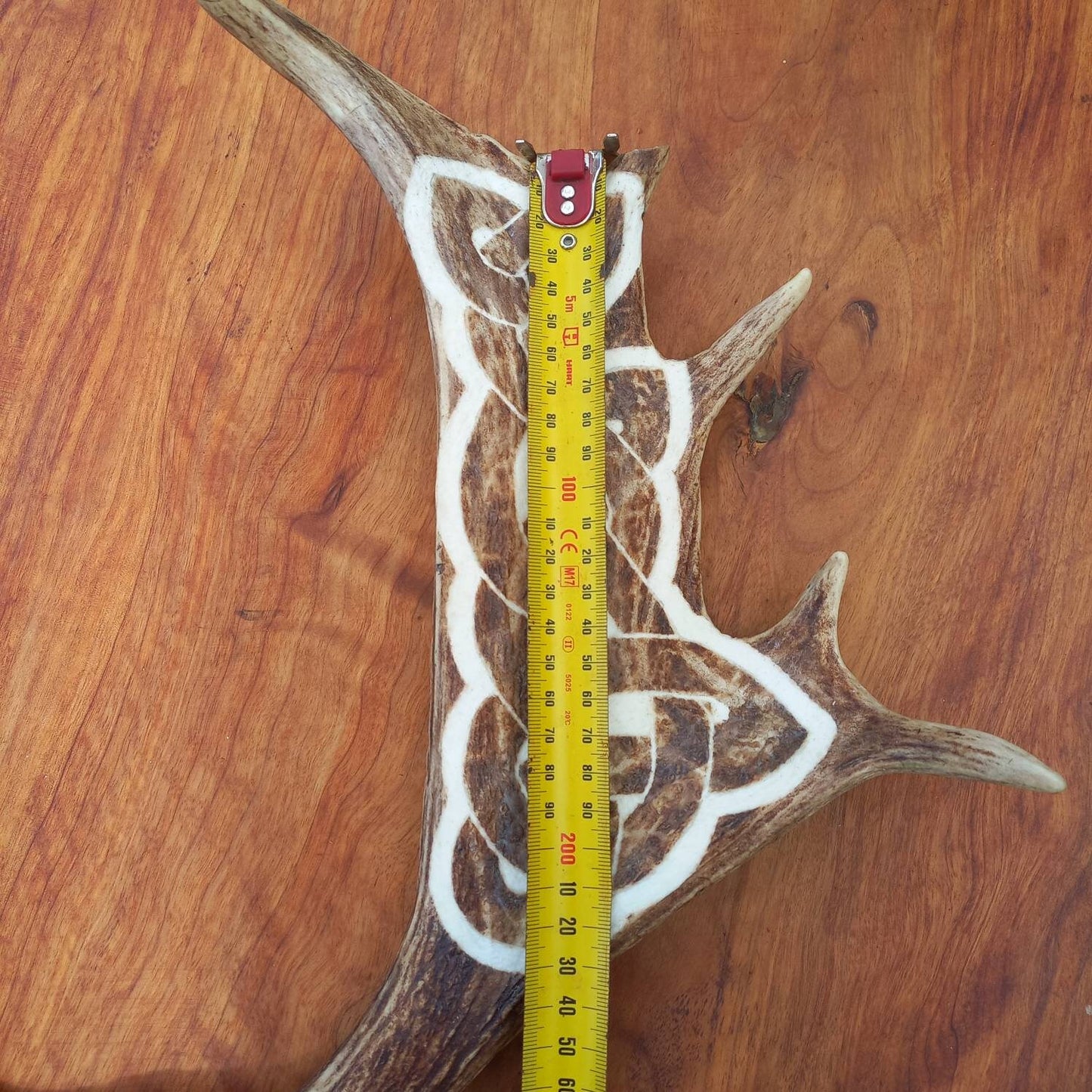 Fallow Deer Antler with Carved Celtic Knot