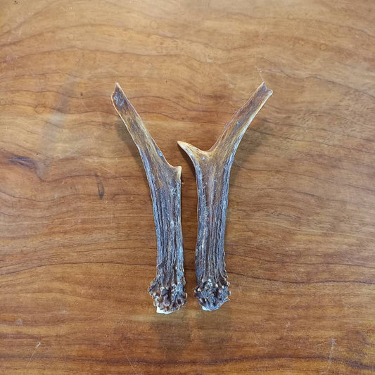 Genuine Roe Deer Antler Pair