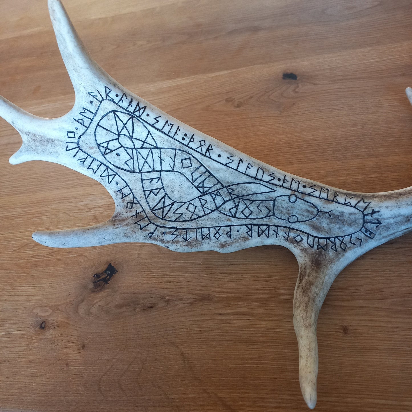 Fallow Deer Antler with Jormungandr Carving