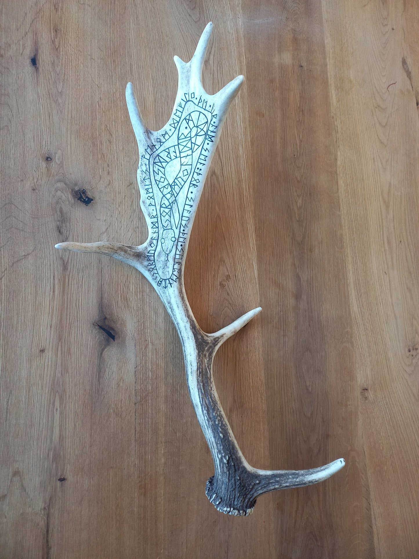 Fallow Deer Antler with Jormungandr Carving