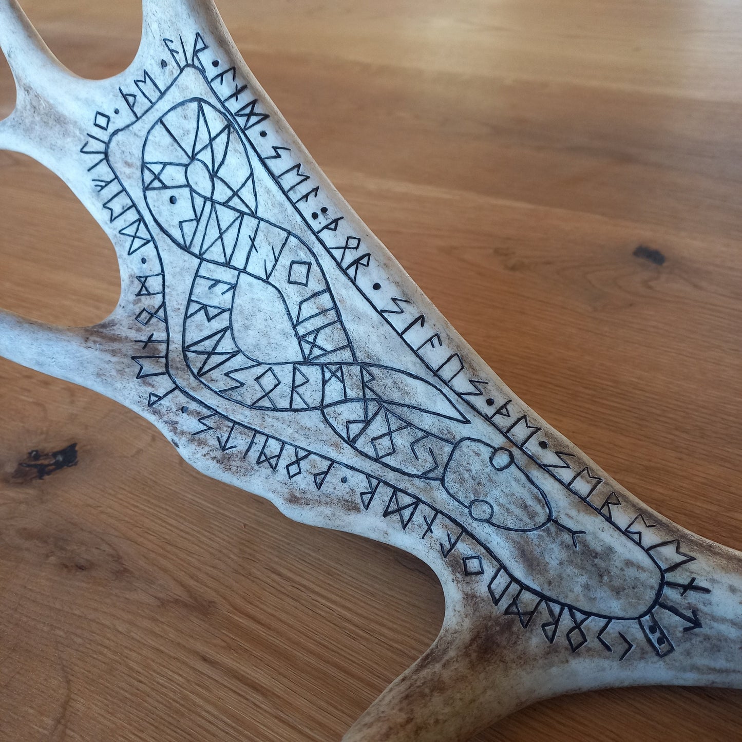 Fallow Deer Antler with Jormungandr Carving