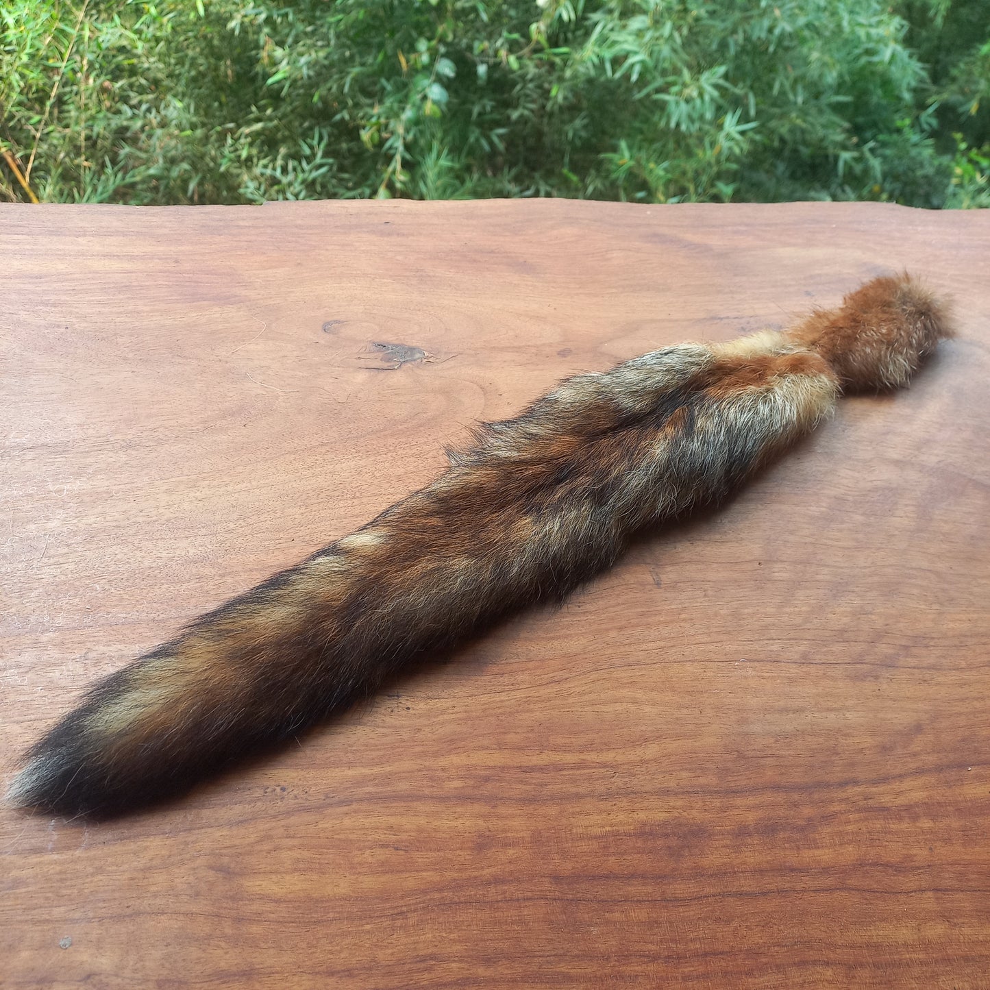 Australian Red Fox Pelt Tail (FOX01)