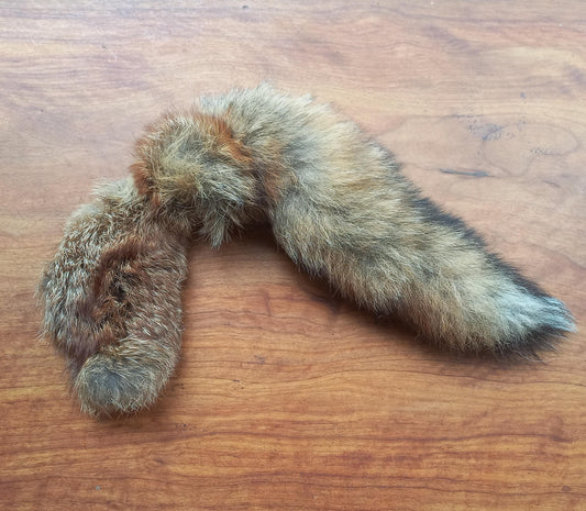 Australian Red Fox Pelt Tail (FOX05)