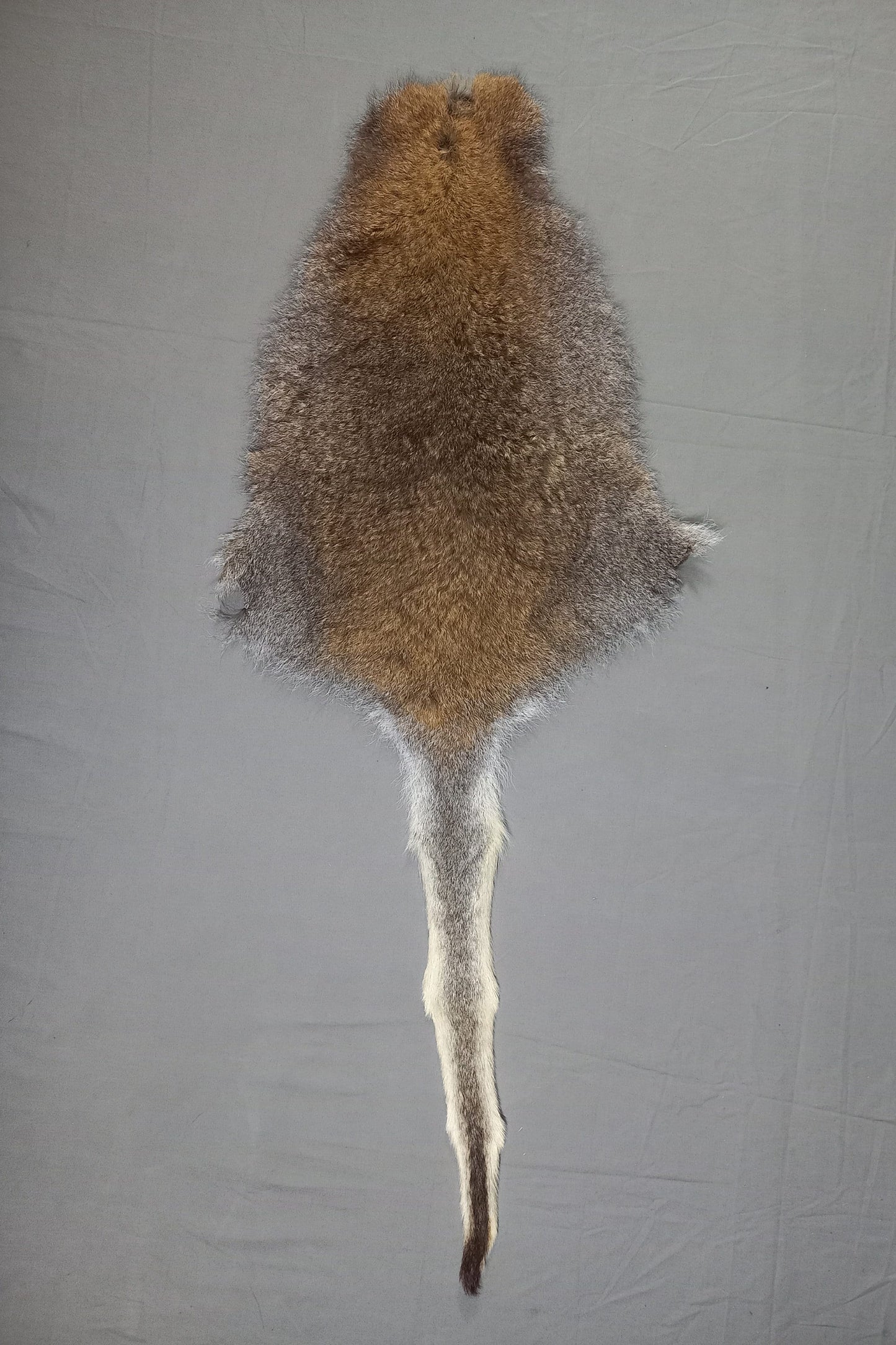 NZ Wallaby Pelt