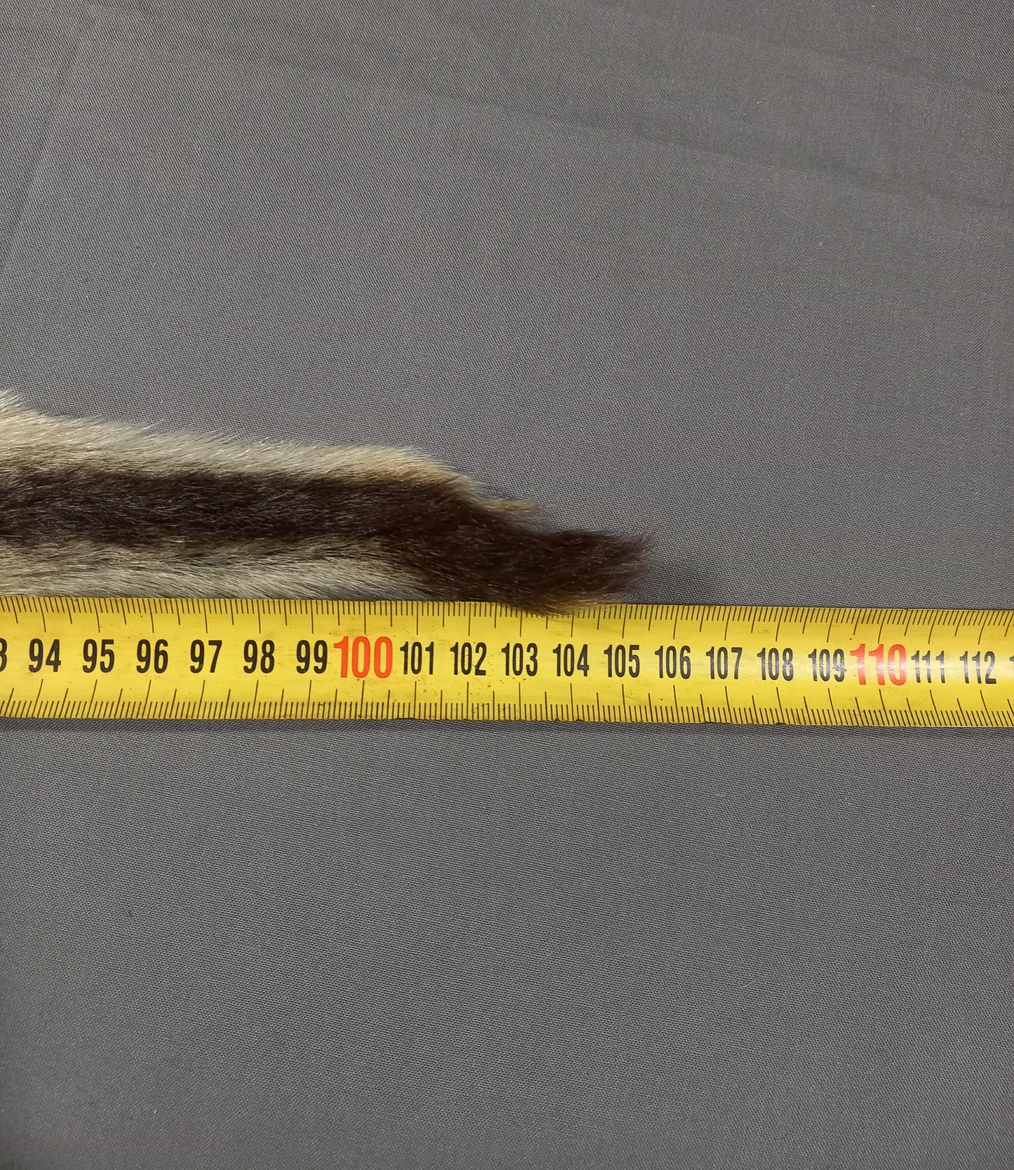 NZ Wallaby Pelt