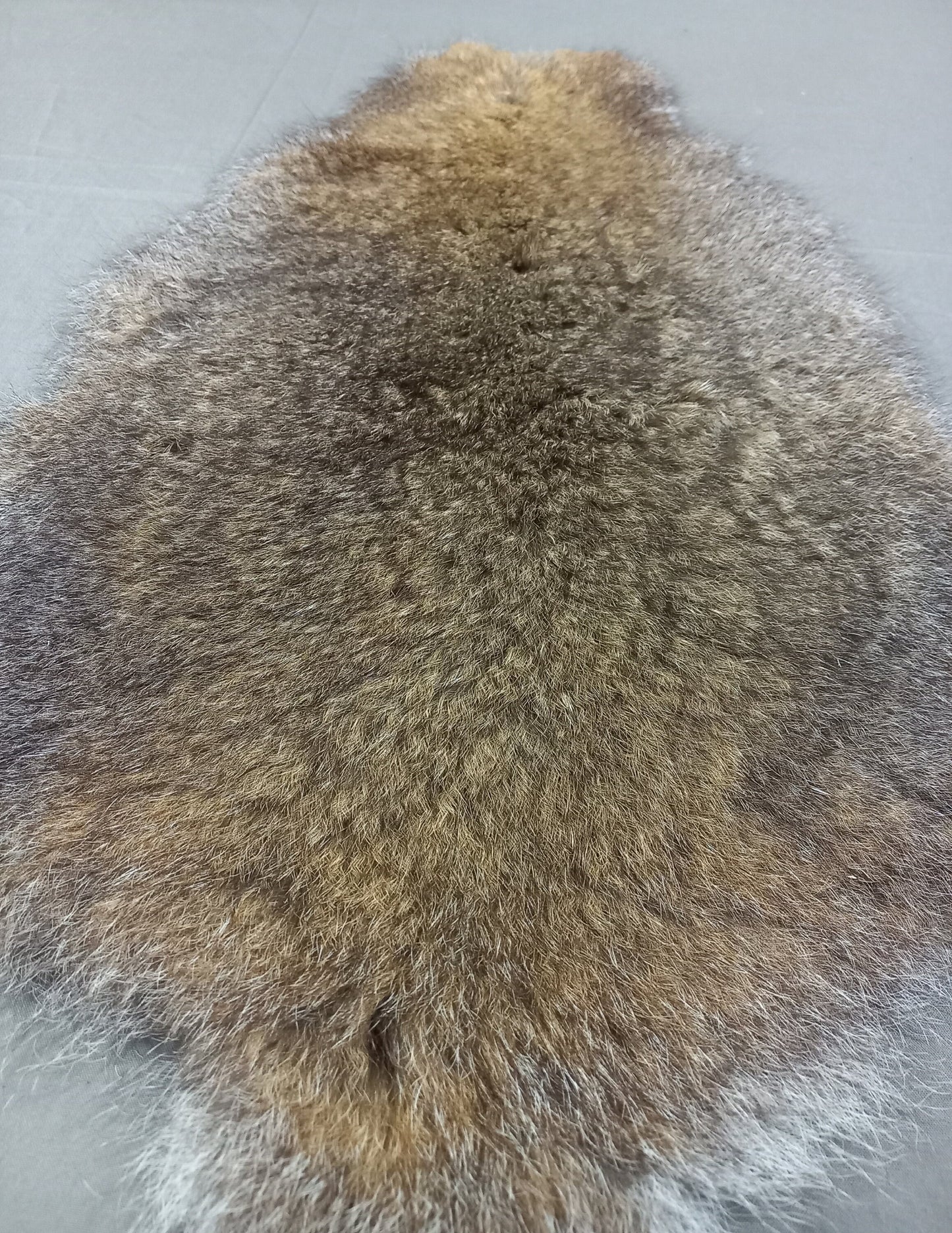 NZ Wallaby Pelt