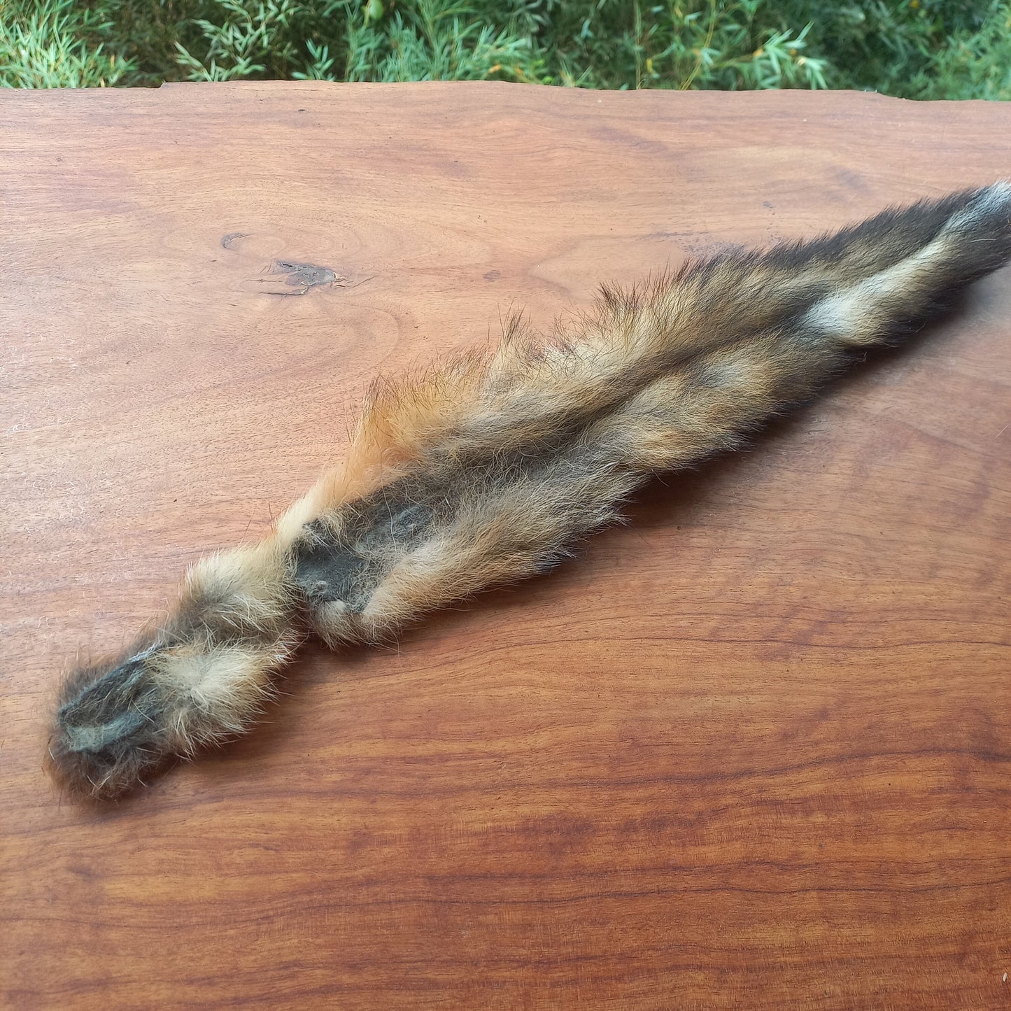 Australian Red Fox Pelt Tail (FOX01)