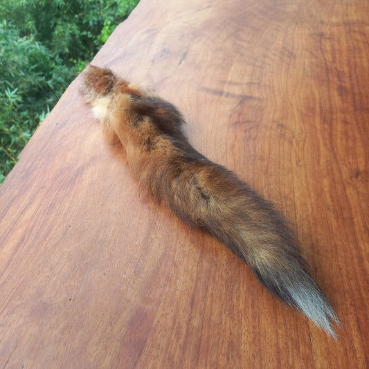 Australian Red Fox Pelt Tail (FOX02)