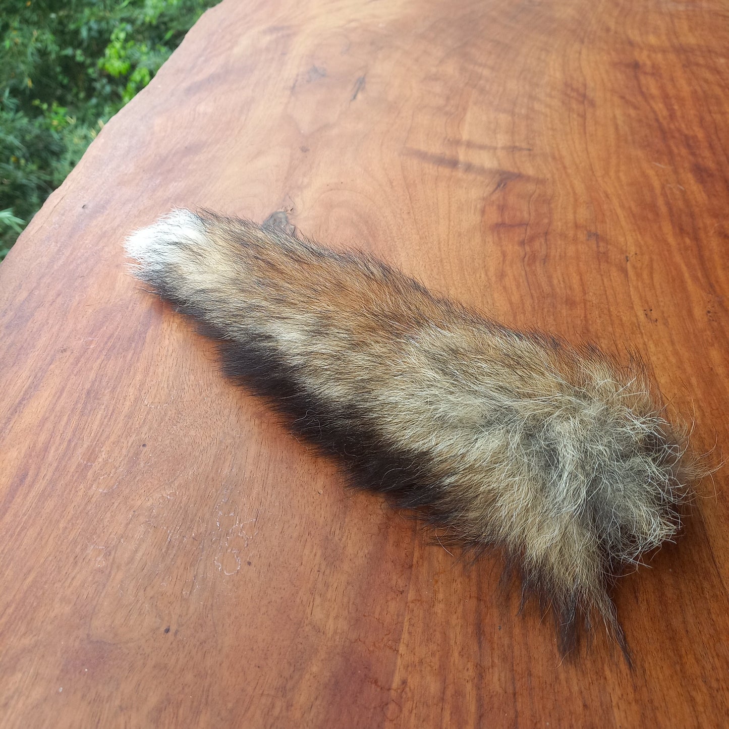 Australian Red Fox Pelt Tail (FOX03)