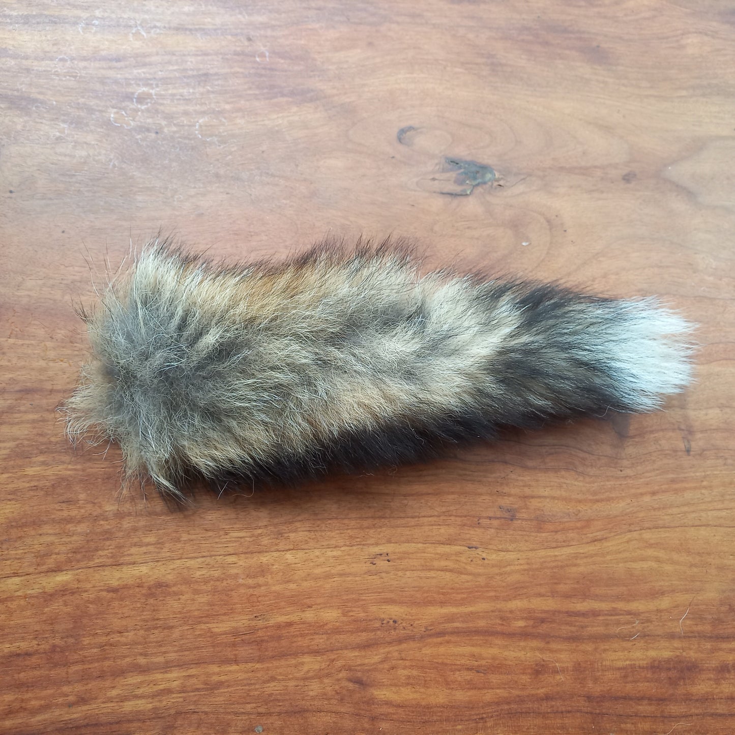 Australian Red Fox Pelt Tail (FOX03)