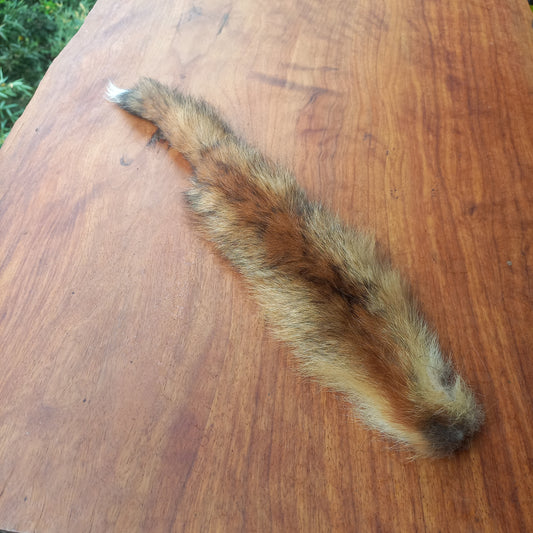 Australian Red Fox Pelt Tail (FOX04)