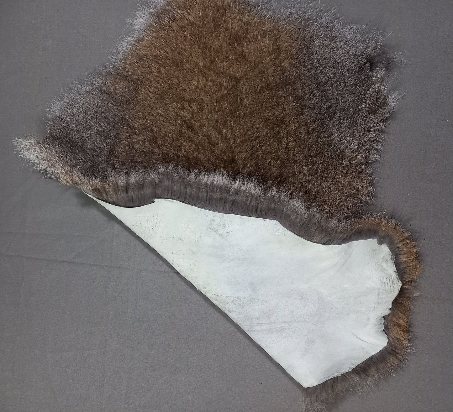 NZ Wallaby Pelt