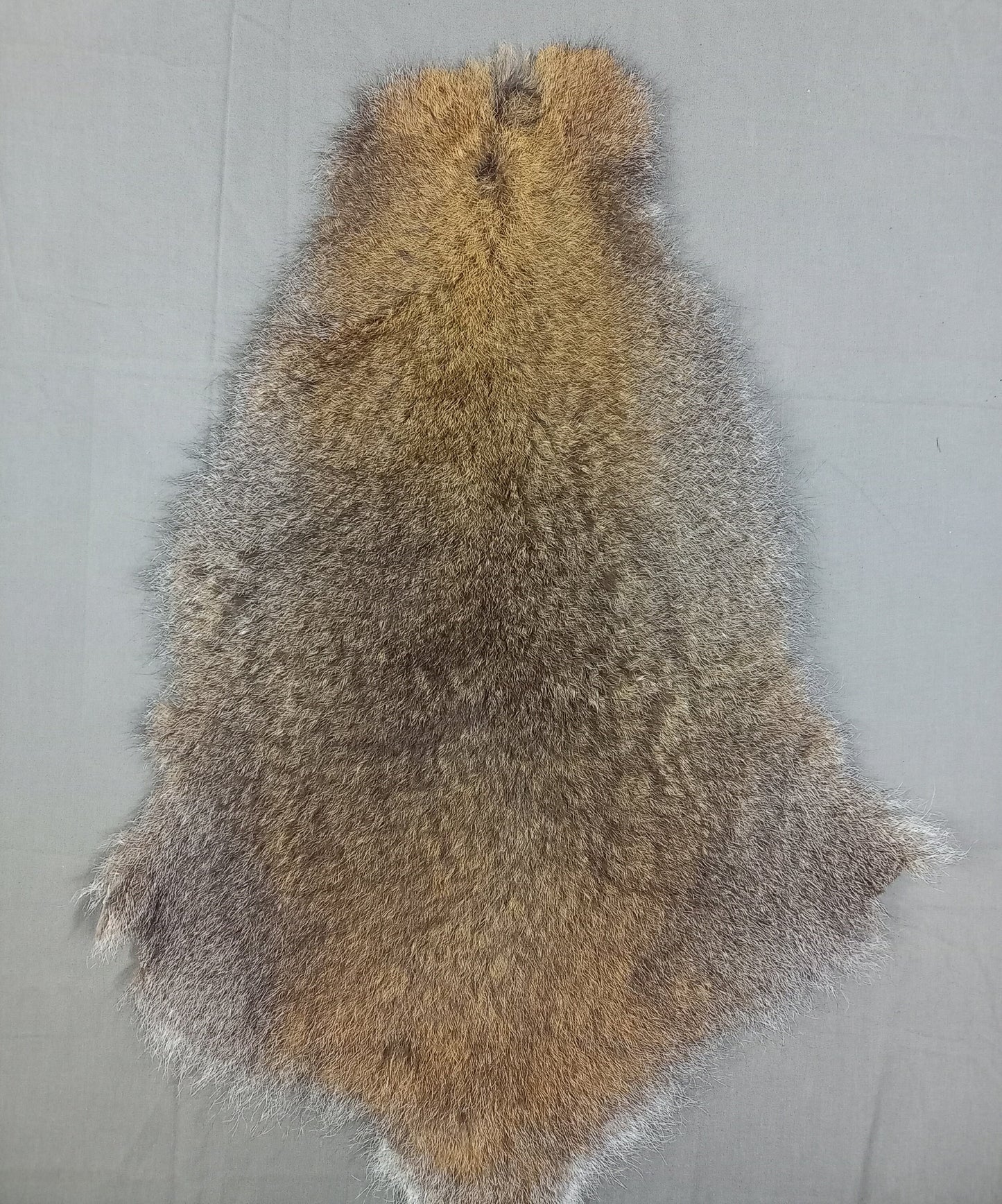 NZ Wallaby Pelt